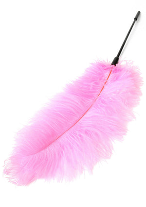 Accessoire BDSM Hidden Desire Double Feather Tickler