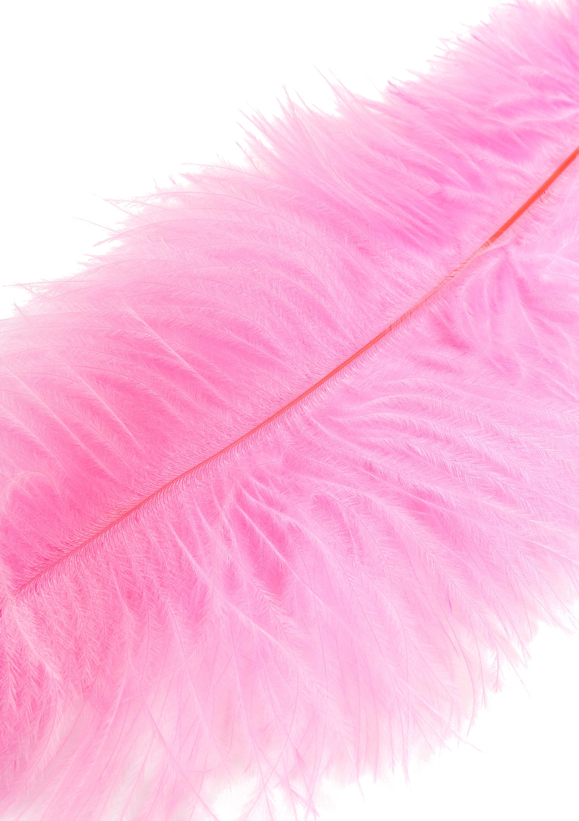 Accessoire BDSM Hidden Desire Double Feather Tickler