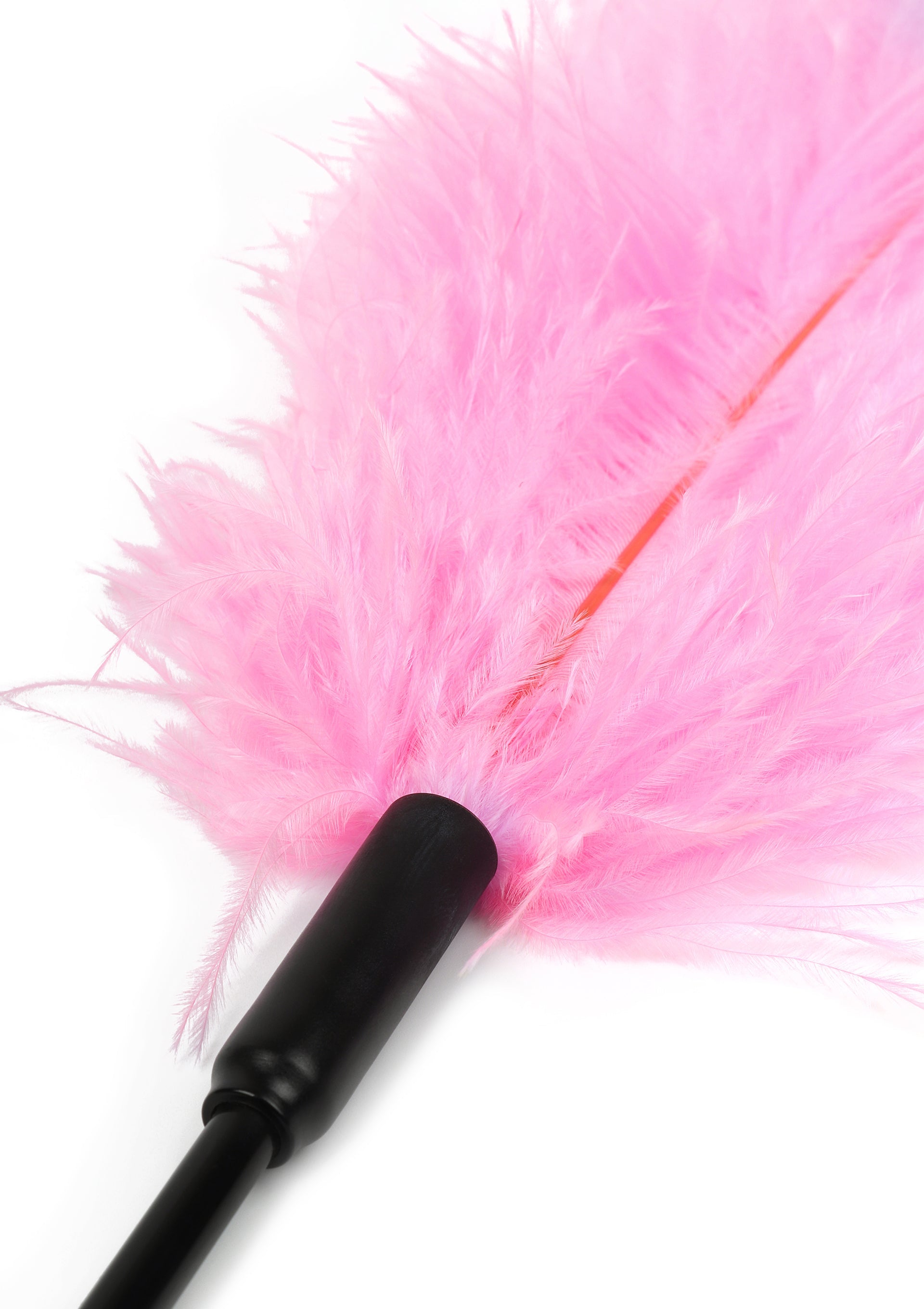 Accessoire BDSM Hidden Desire Double Feather Tickler
