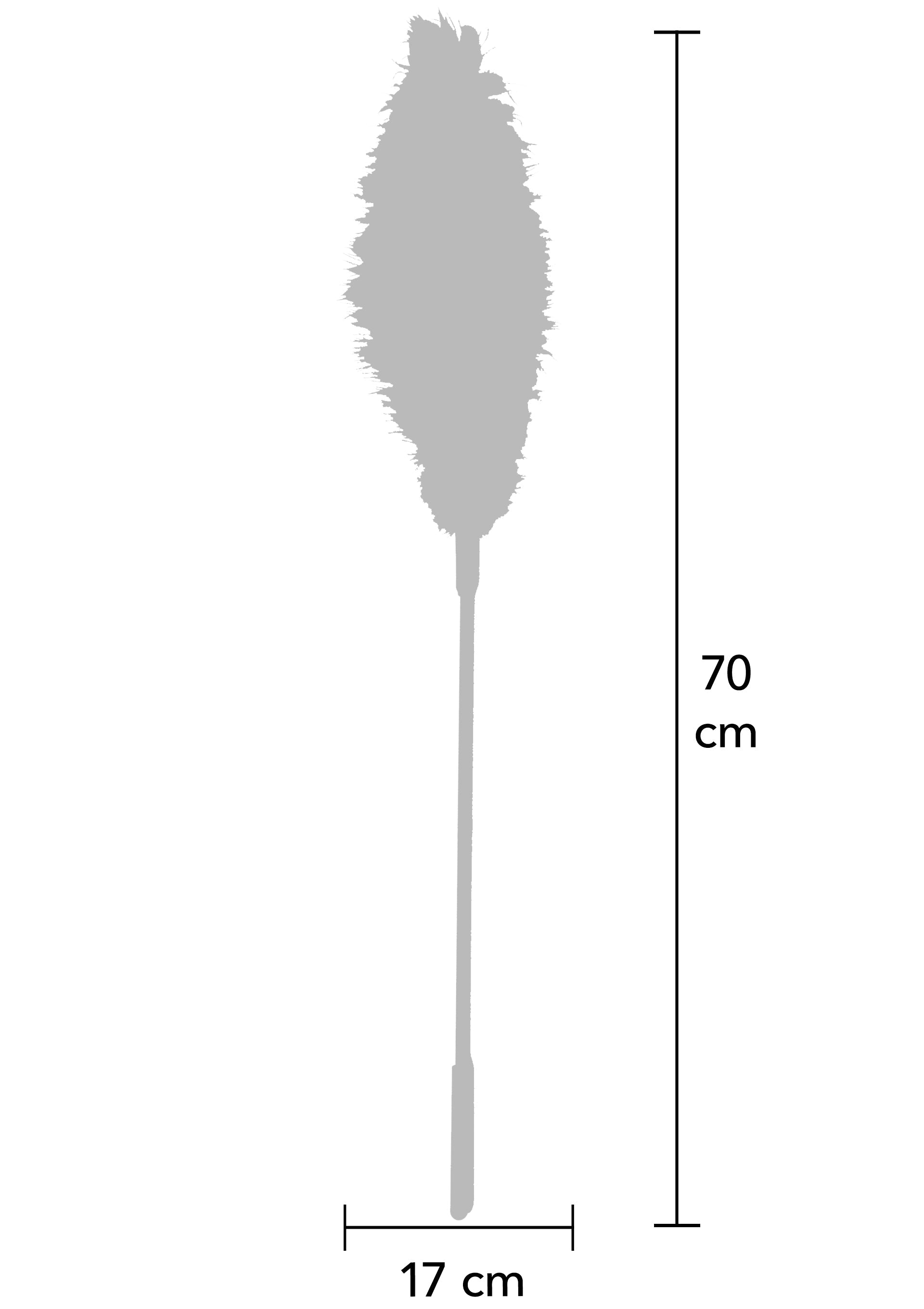 Accessoire BDSM Hidden Desire Double Feather Tickler