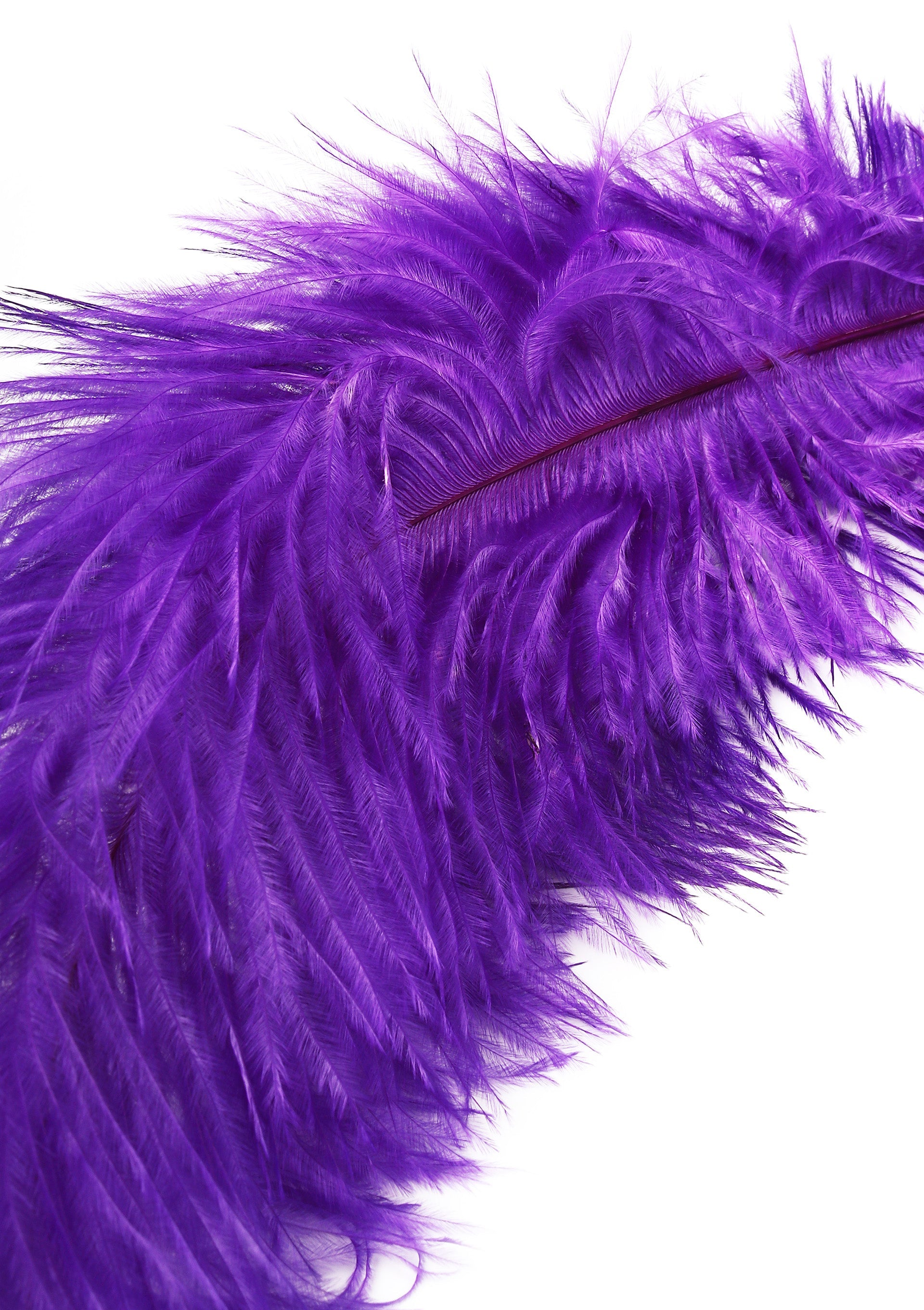 Accessoire BDSM Hidden Desire Double Feather Tickler