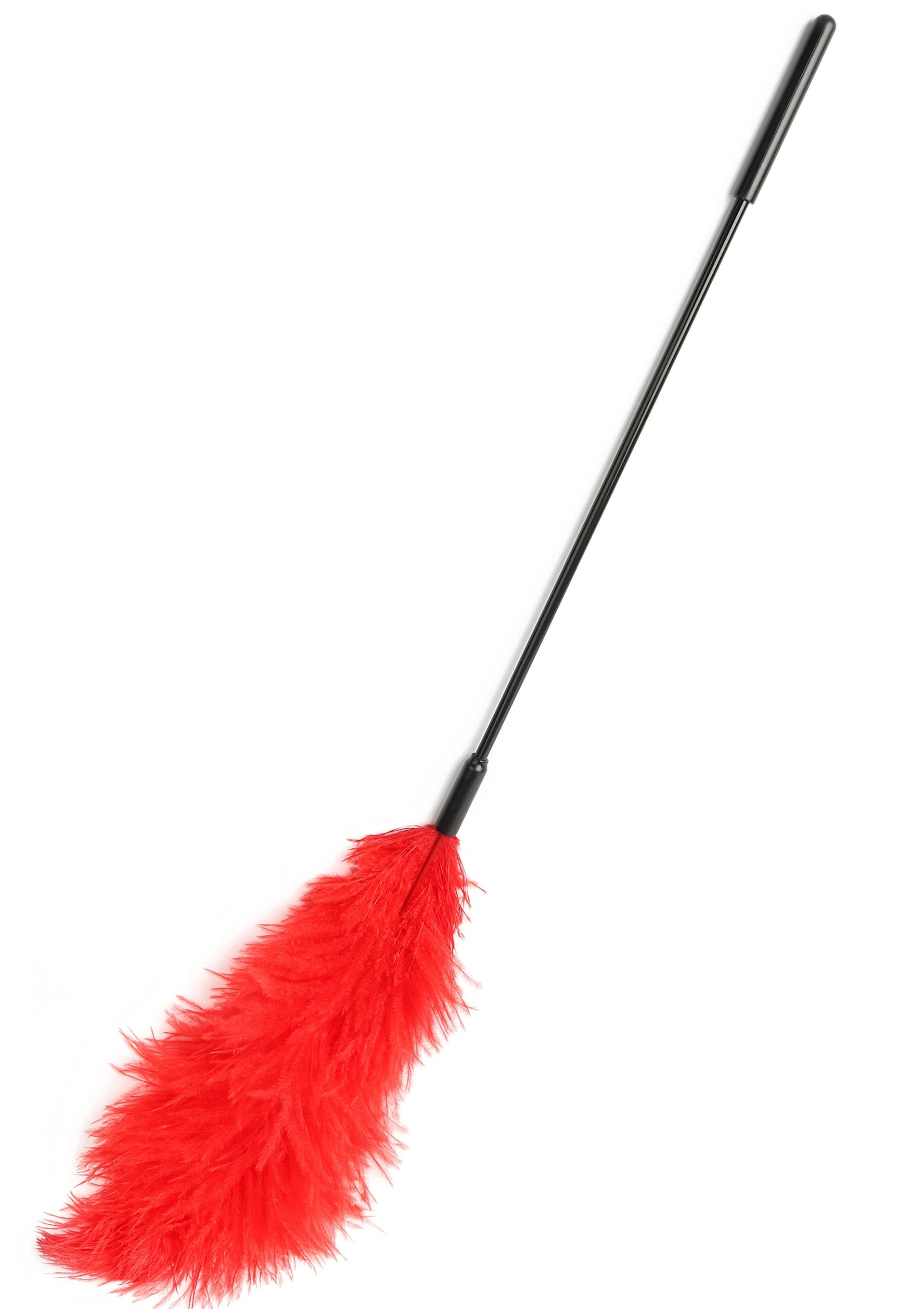 Accessoire BDSM Hidden Desire Double Feather Tickler