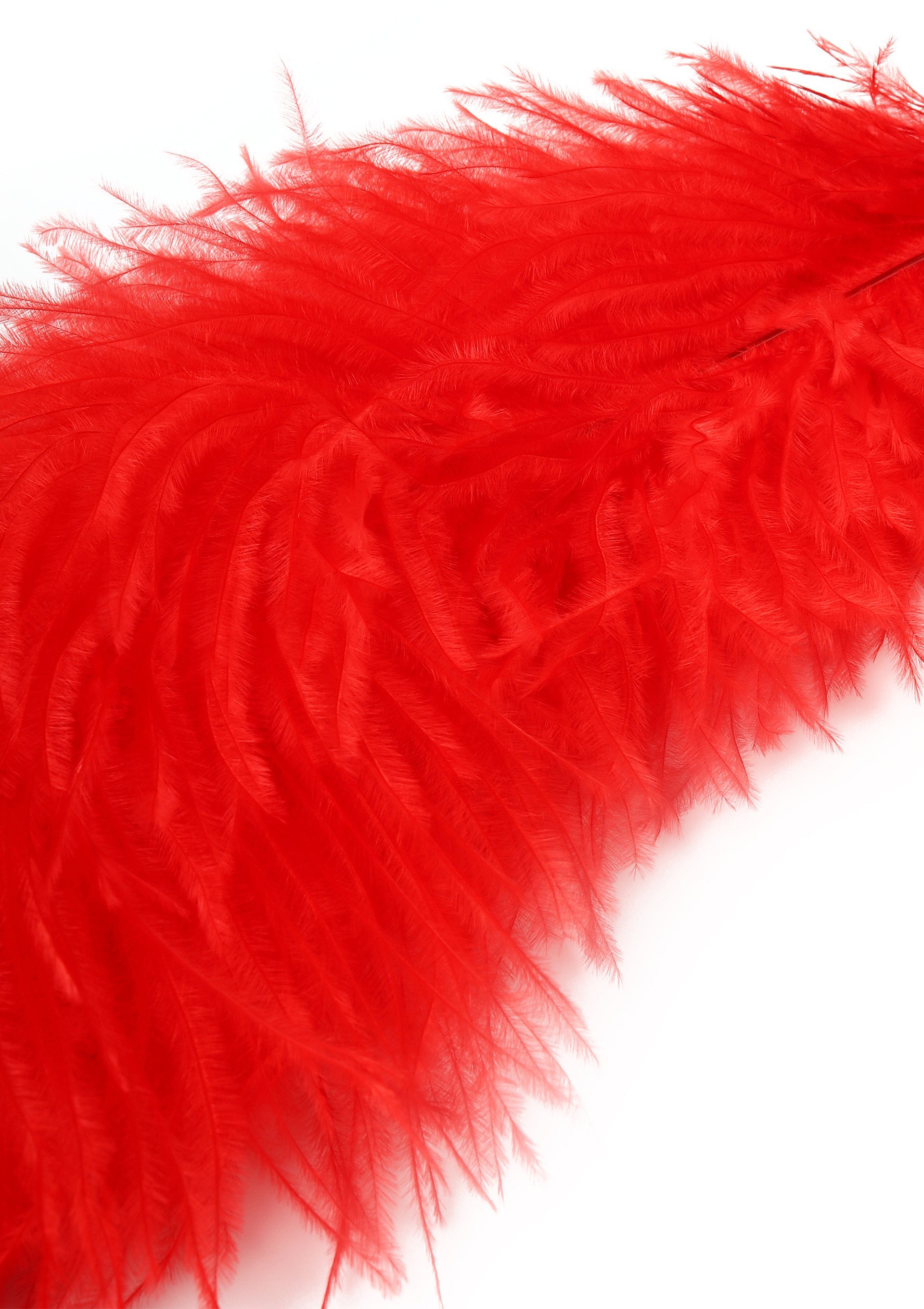 Accessoire BDSM Hidden Desire Double Feather Tickler