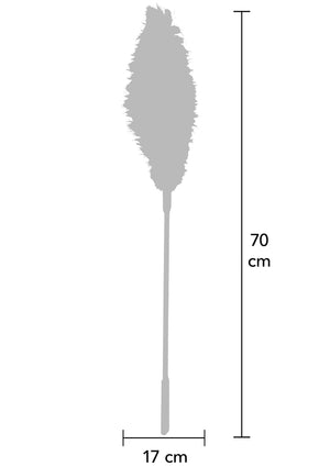 Accessoire BDSM Hidden Desire Double Feather Tickler