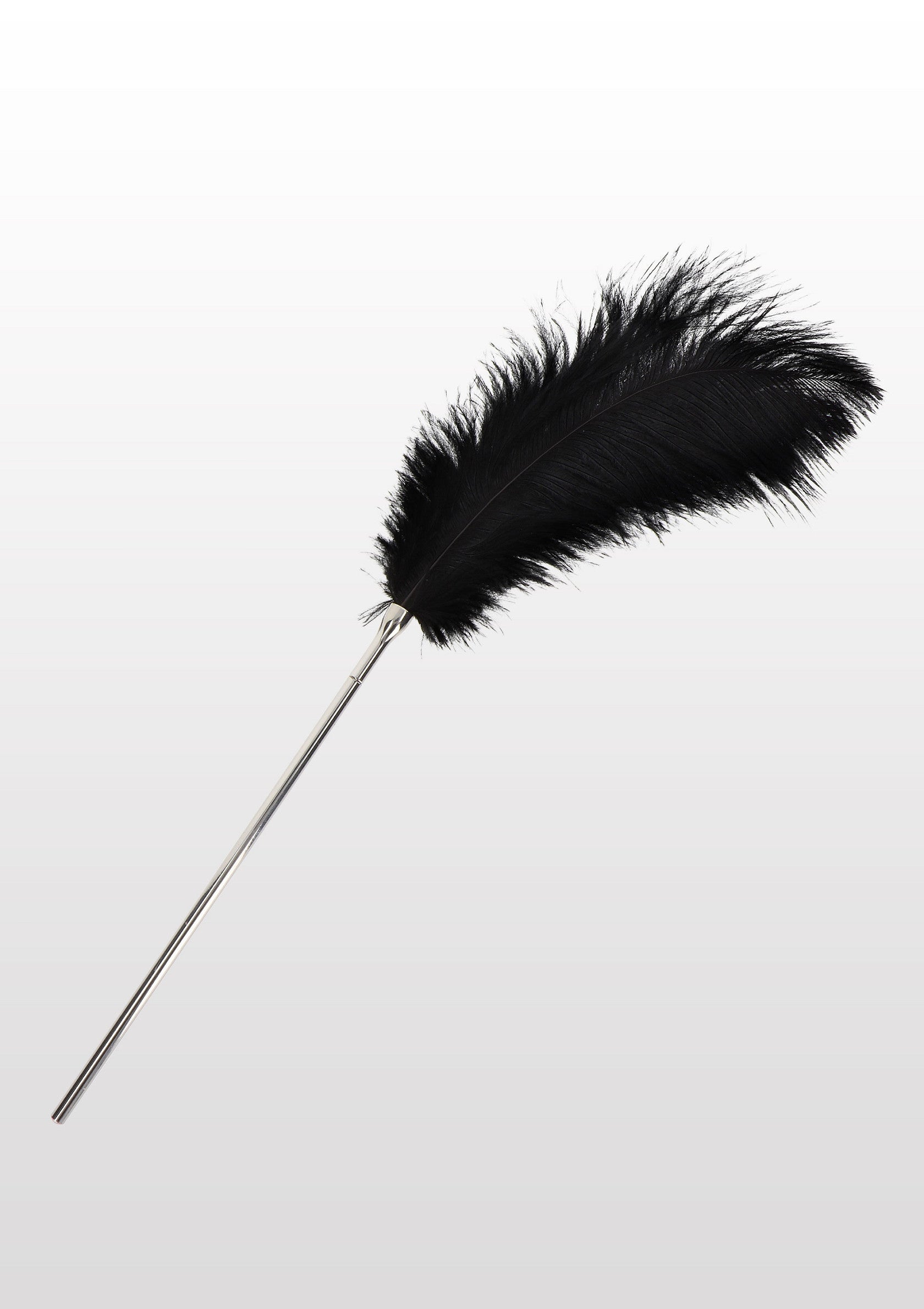 Accessoire BDSM Taboom Feather Tickler