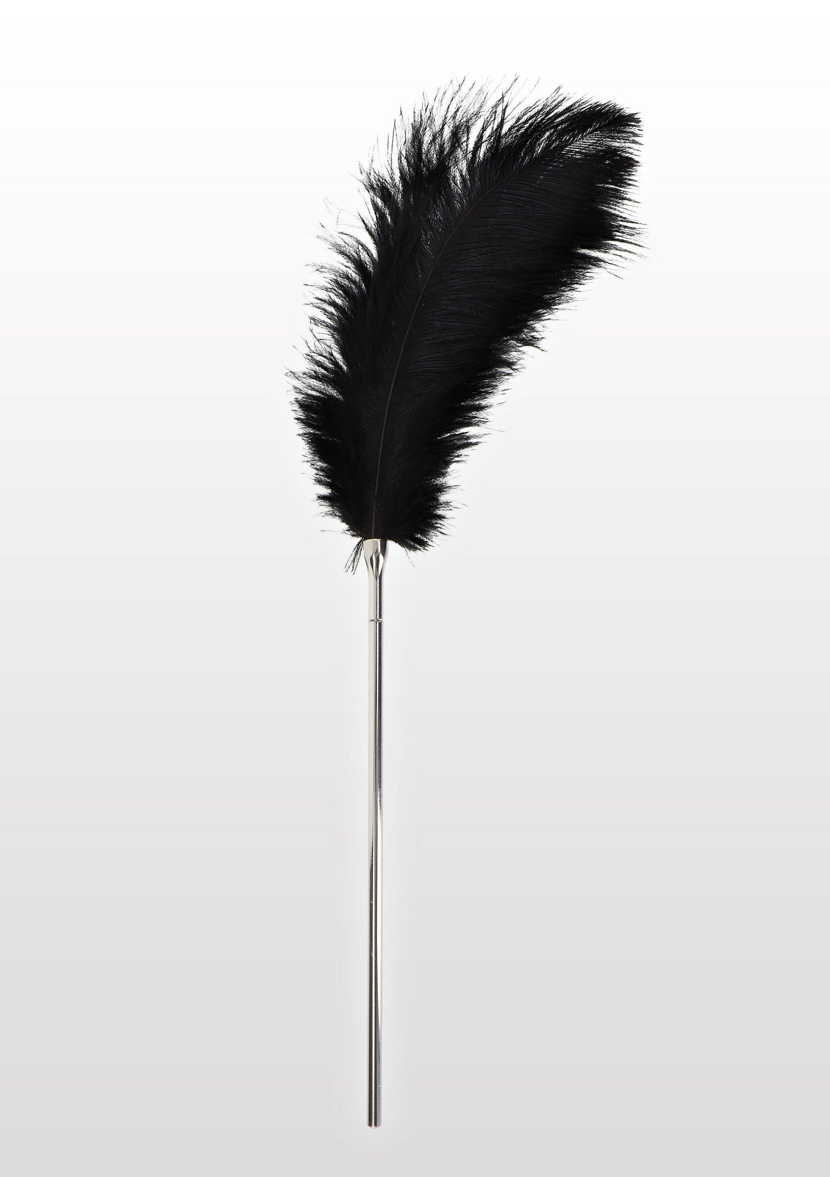 Accessoire BDSM Taboom Feather Tickler