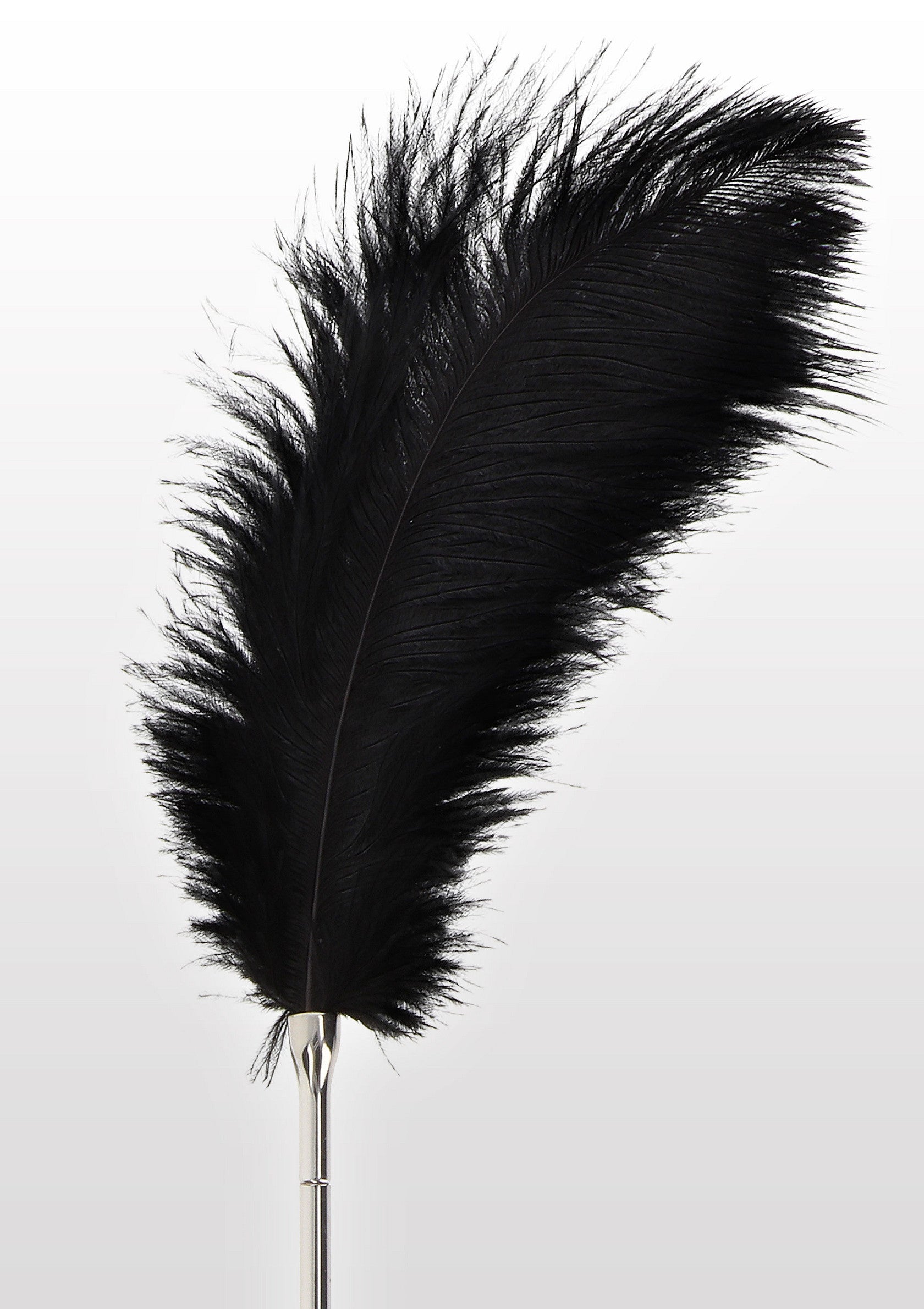 Accessoire BDSM Taboom Feather Tickler