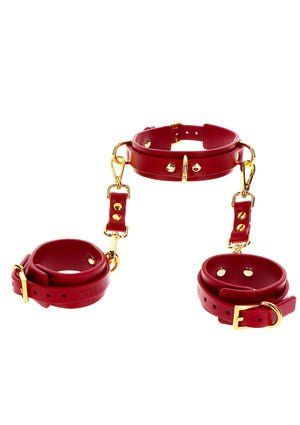 Accessoire BDSM Taboom D-Ring Collar and Wrist Cuffs