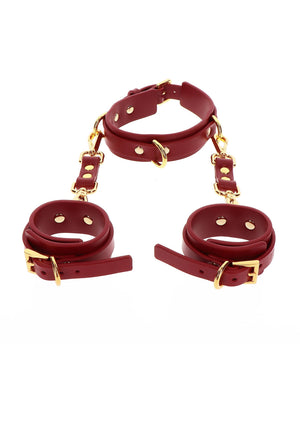 Accessoire BDSM Taboom D-Ring Collar and Wrist Cuffs