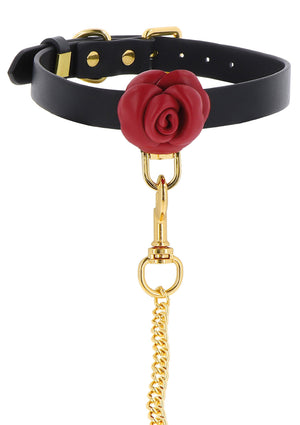 Accessoire BDSM Taboom Wild Roses Collar & Leash