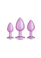 Jouet anal NS Novelties Trainer Kit Iridescent
