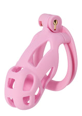 Accessoire BDSM Hidden Desire Penis Prison Cock Cage Regular
