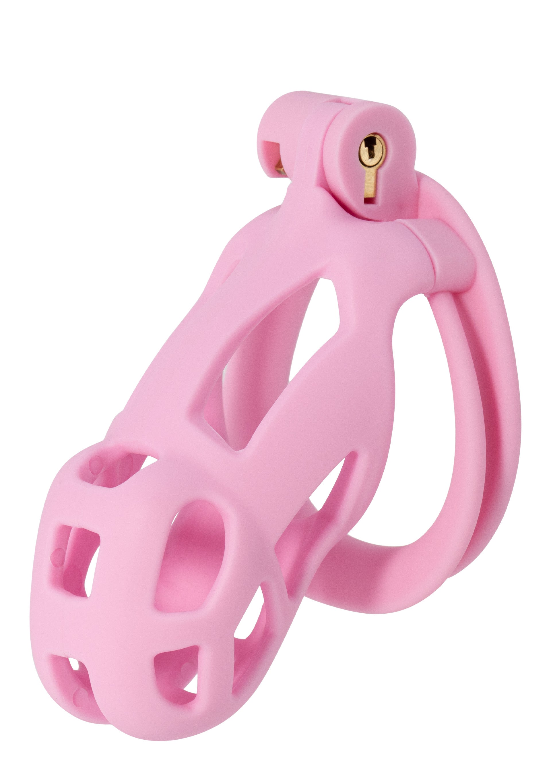 Accessoire BDSM Hidden Desire Penis Prison Cock Cage Regular