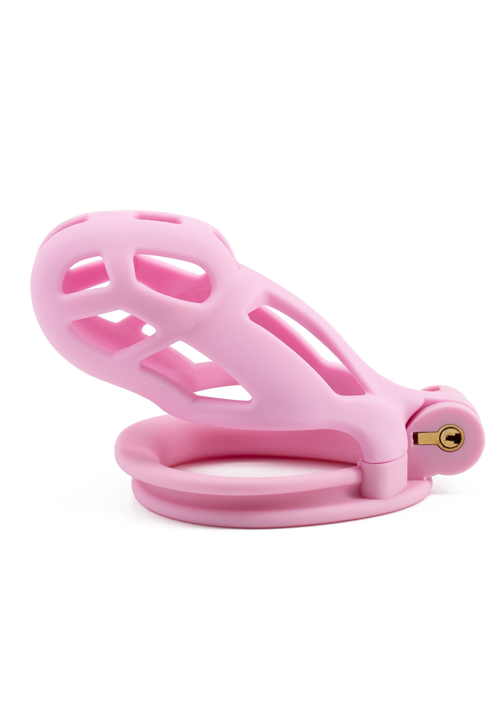Accessoire BDSM Hidden Desire Penis Prison Cock Cage Regular