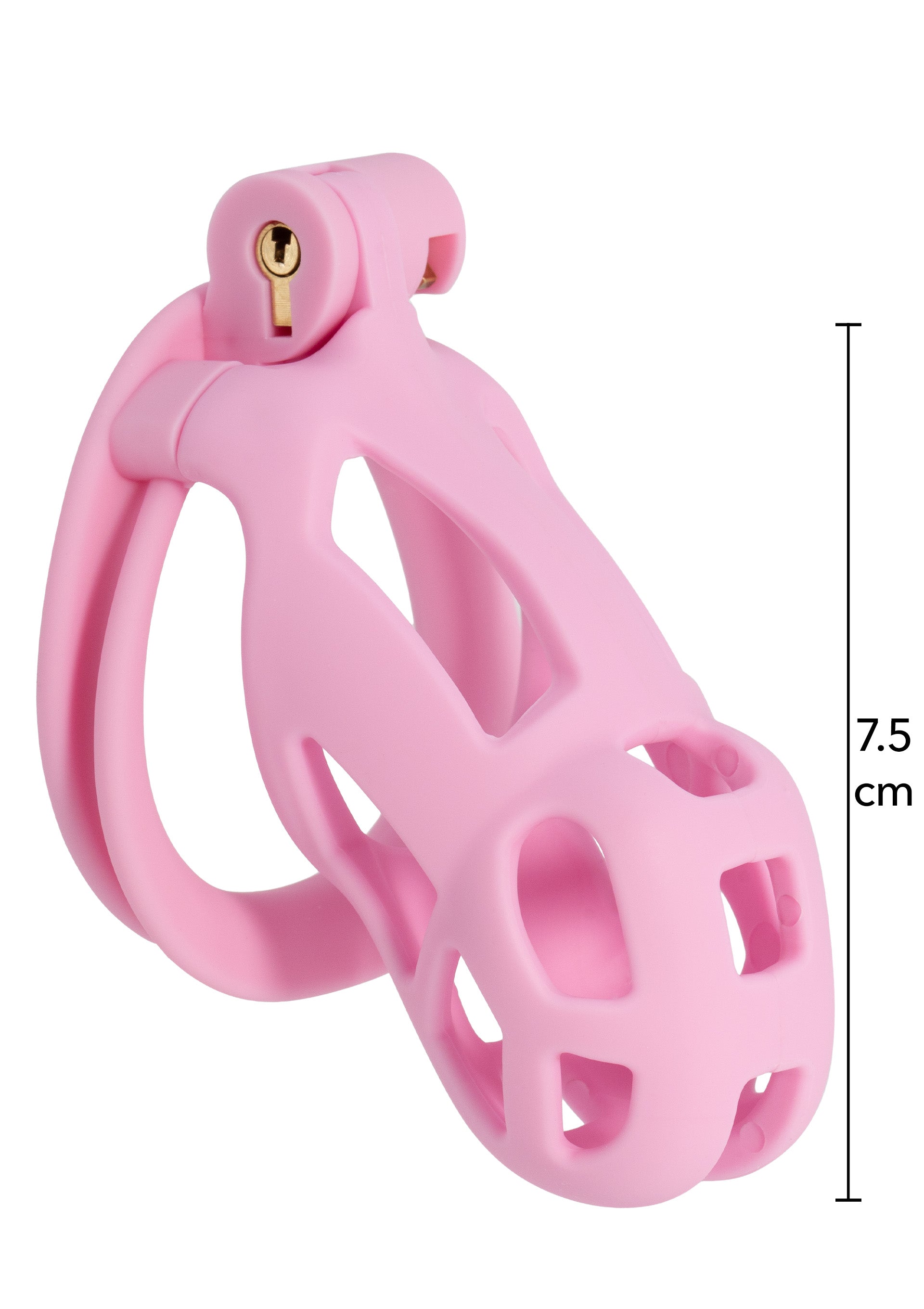 Accessoire BDSM Hidden Desire Penis Prison Cock Cage Regular