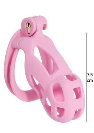 Accessoire BDSM Hidden Desire Penis Prison Cock Cage Regular