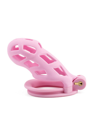 Accessoire BDSM Hidden Desire Penis Prison Cock Cage Long