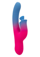 Vibromasseur CalExotics Dual Stimulator Suction Vibrator