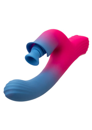 Vibromasseur CalExotics Dual Stimulator Suction Vibrator