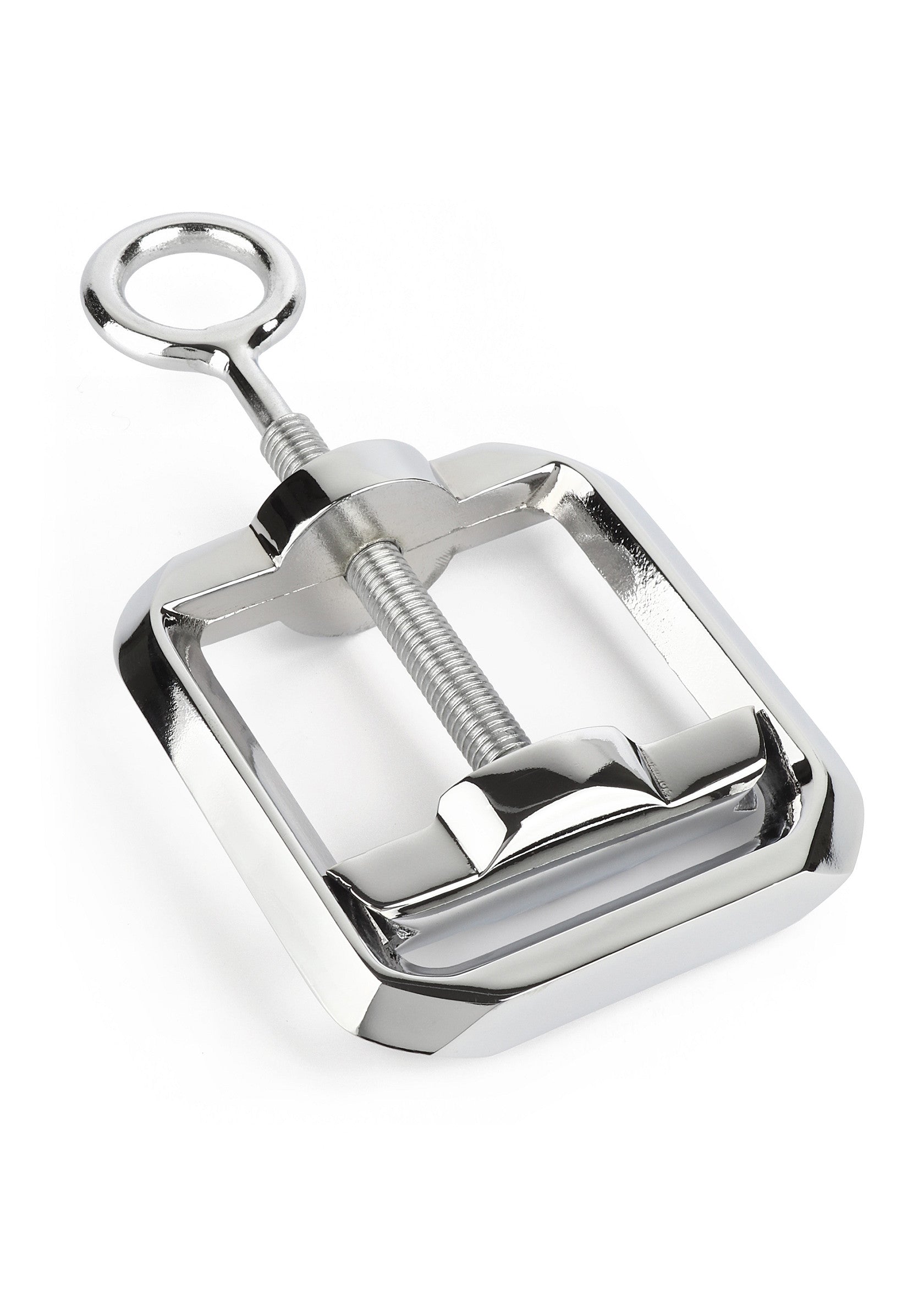 Accessoire BDSM Mr. Steel Ball Crusher Heavy