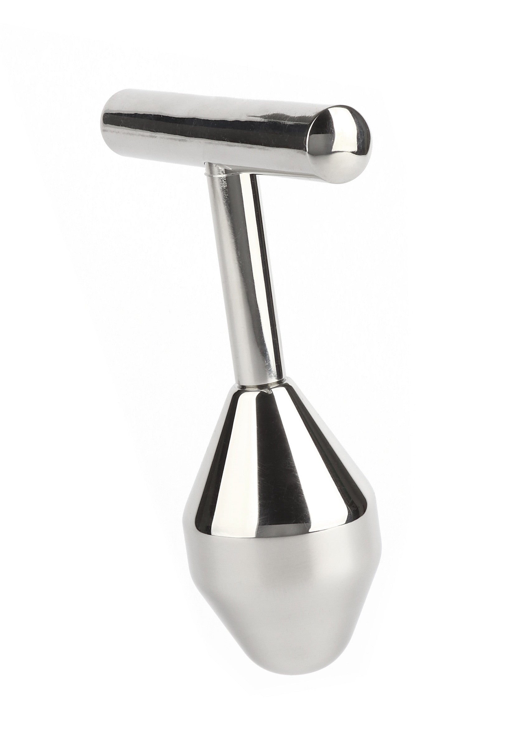 Jouet anal Mr. Steel Pleasure Probe
