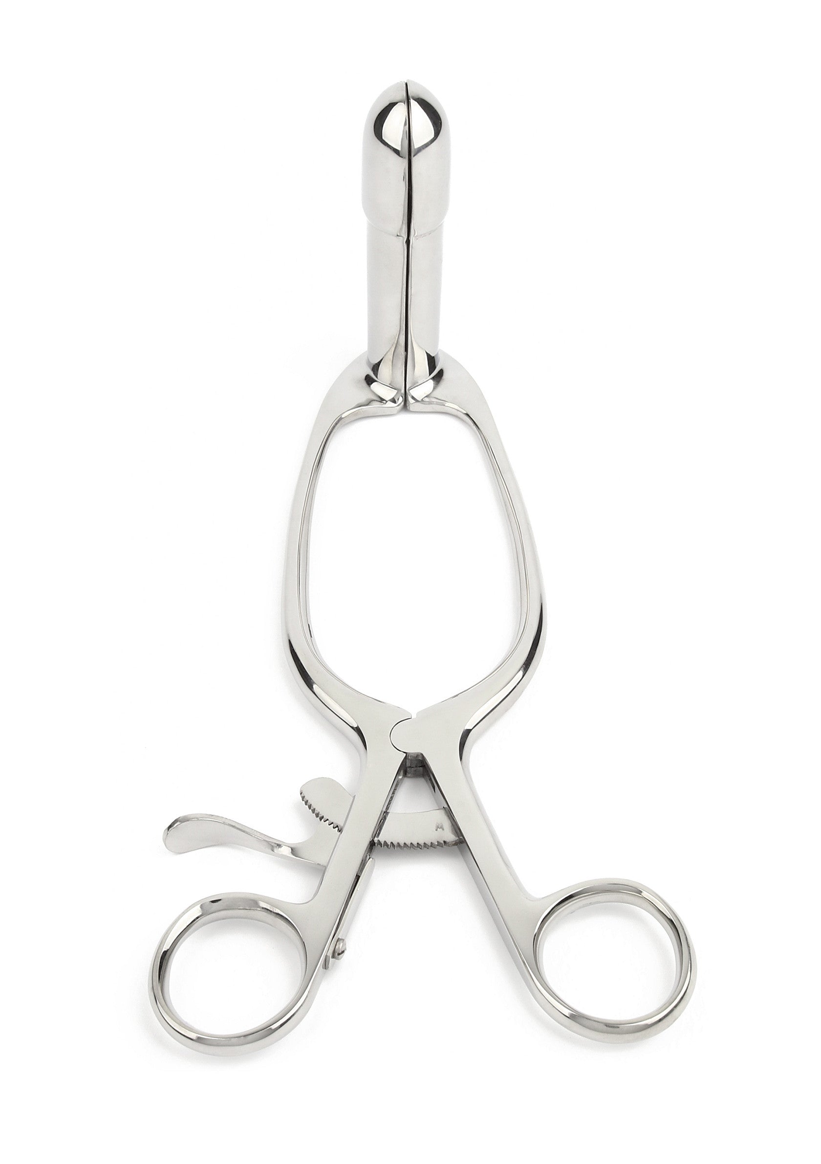 Accessoire BDSM Mr. Steel Barr Rectal Speculum Large
