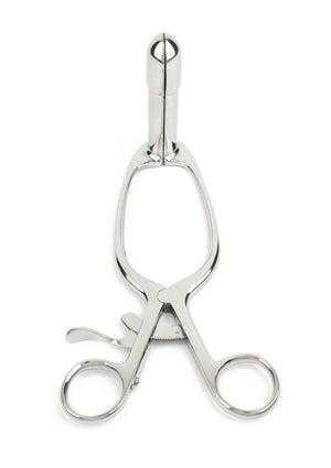 Accessoire BDSM Mr. Steel Barr Rectal Speculum Large