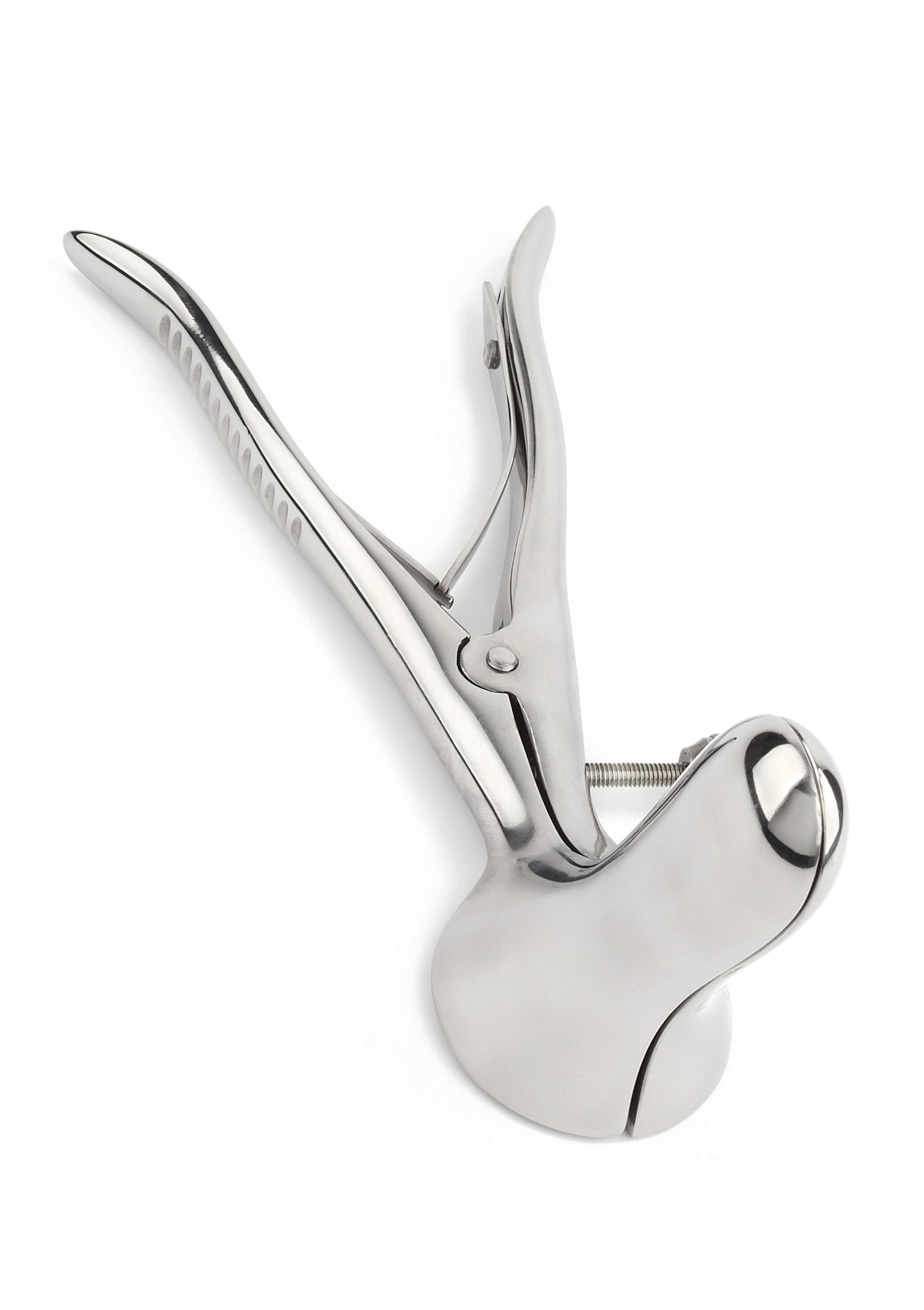 Accessoire BDSM Mr. Steel Pratt Rectal Spreader