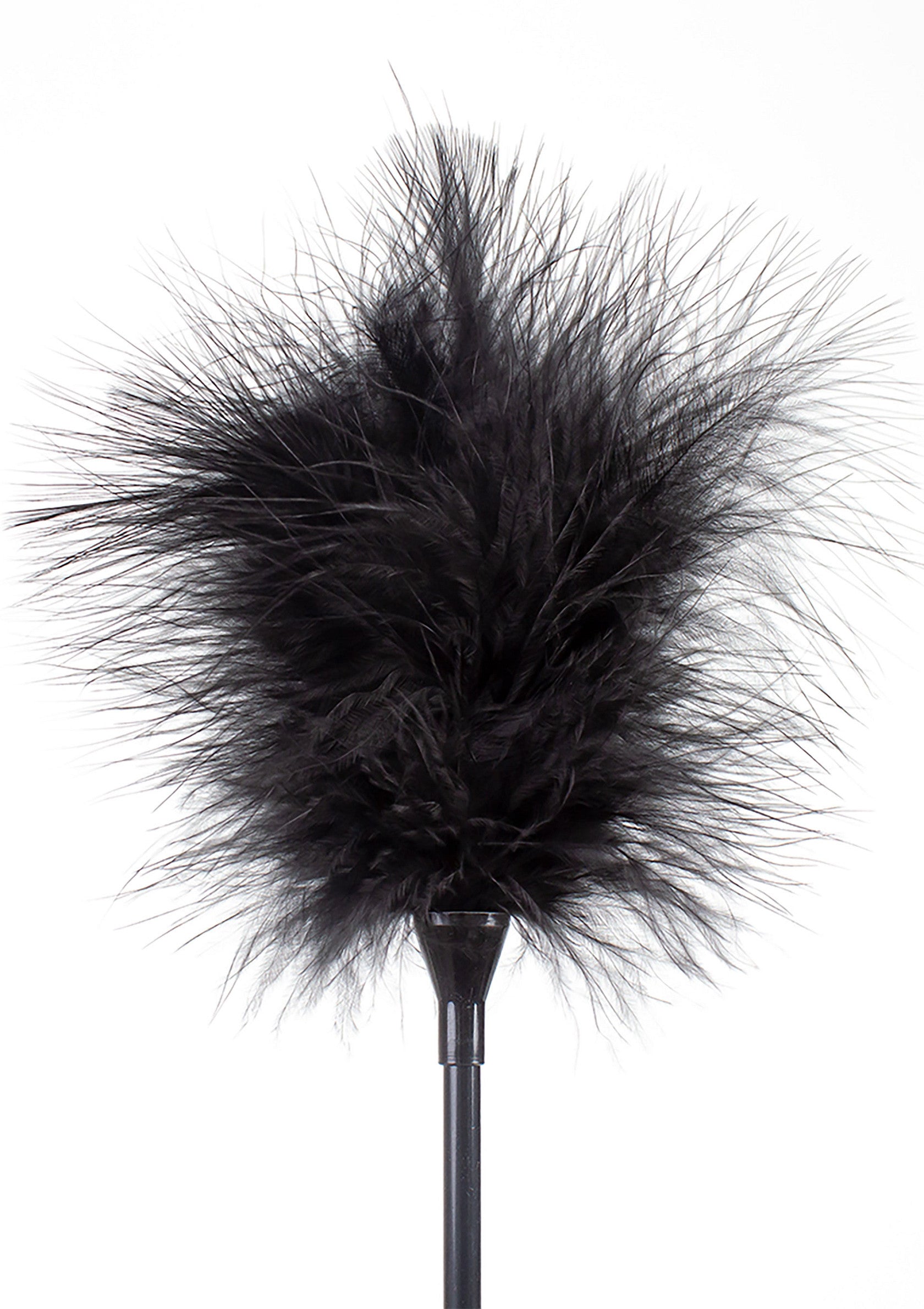 Accessoire BDSM Secret Play Feather Tickler & Whip