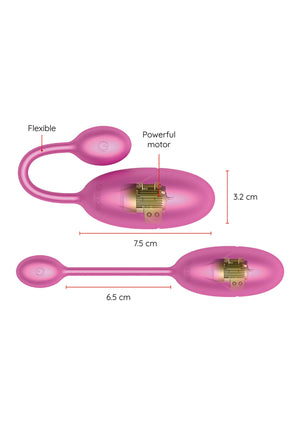 Boules de Geisha Oninder Tokyo Vibrating Egg + App
