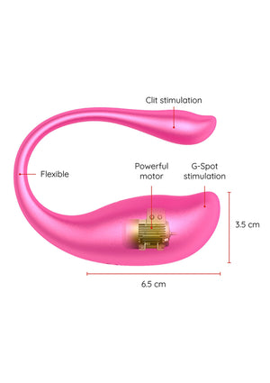 Boules de Geisha Oninder Nairobi Vibrating Egg + App