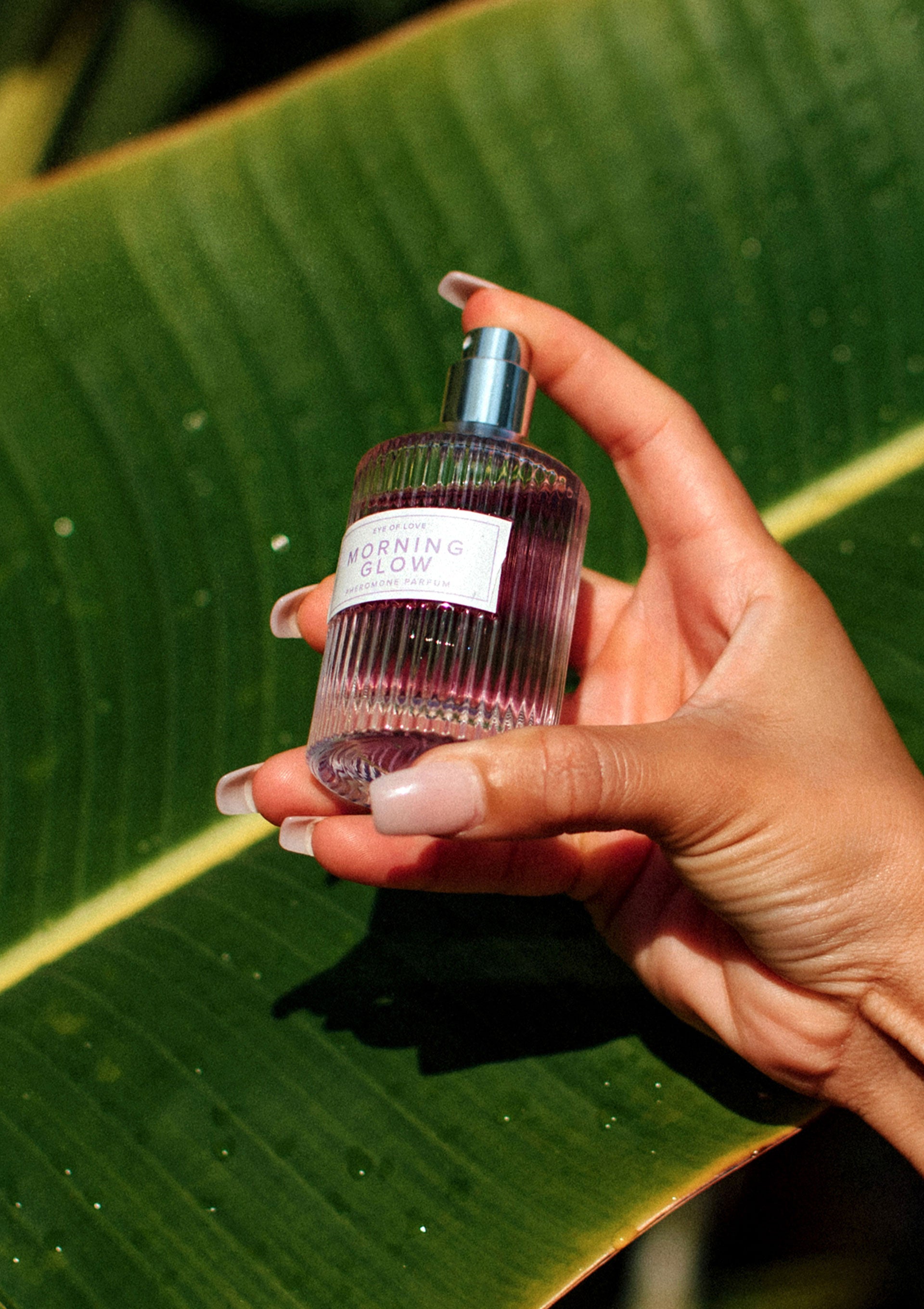Parfum aux phéromones Eye of Love Pheromone Attract Him