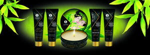 Coffret Shunga Geisha's Secrets Set